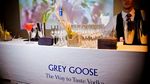 The sad_grey goose_18.10 3